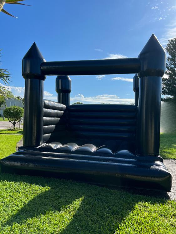 Luxury Bounce Houses Luxury Bounce Houses